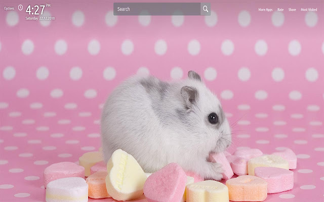 Hamster Wallpapers Theme New Tab