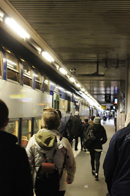 RER Parigi di bluerose68