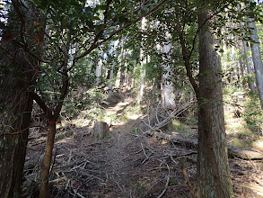 また登りに