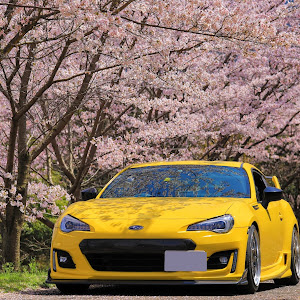 BRZ ZC6