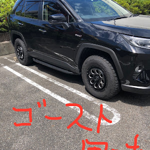 RAV4 AXAH54