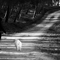 Ultima passeggiata di Aron di 