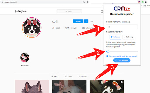 CRMzz - Instagram Contacts Importer