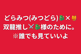 どらみつ(みつどら)🐉×🍯双龍推し⚔️🐉様のために。※誰でも見ていいよ