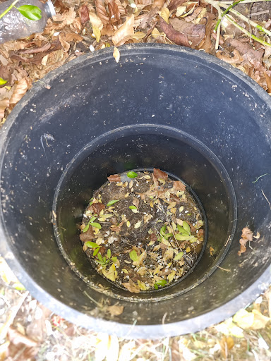 Item 1