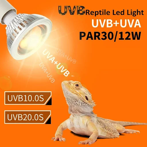 Reptile UV Lamp UVA UVB Turtle Tortoise Lizard Basking Sunlight for Reptile Terrarium Light chauffante Reptile Accessori