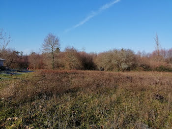 terrain à Villeneuve-de-Marsan (40)