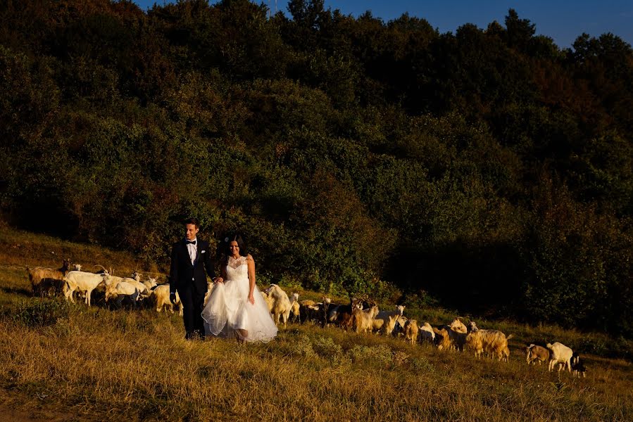 Fotograf ślubny Ioana Pintea (ioanapintea). Zdjęcie z 22 września 2016