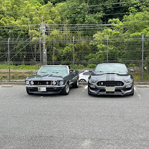 シェルビー GT350