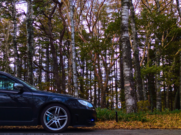 レガシィツーリングワゴンの美ヶ原・ビーナスライン・ドライブ・レガシィ最高・落ち葉こわいに関するカスタム事例の投稿画像3枚目