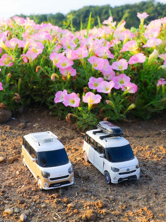 ムーヴキャンバスの東京ドイツ村・ペチュニア・ミニ向日葵・花ーチューン・綺麗なお花と自慢の愛車に関するカスタム事例の投稿画像5枚目