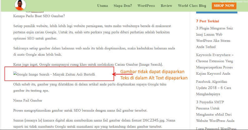 Tetapan Alt Text dipaparkan pengganti gambar