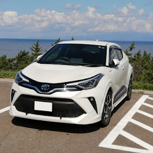 C-HR ZYX10