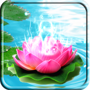 Lotus Live Wallpaper  Icon