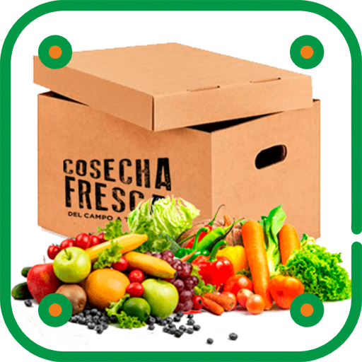 Como Plantar Verdura - Hortalizas en Casa