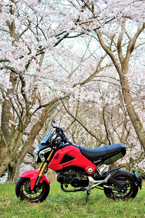 その他のバイク・ホンダ・グロムに関するカスタム事例の投稿画像1枚目