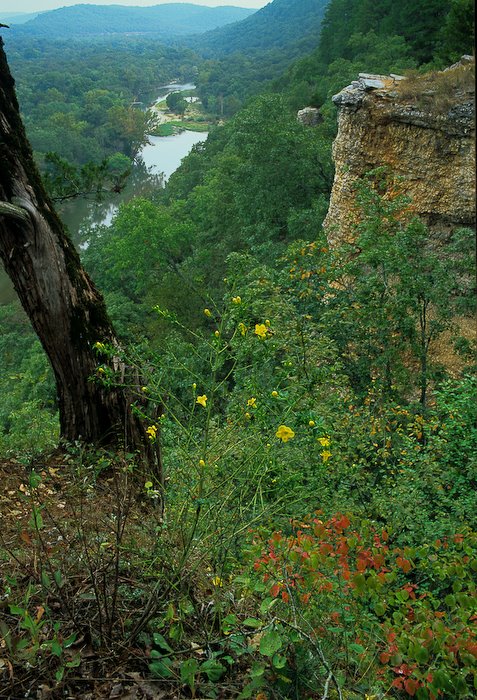 Illinois River Bluff Photo