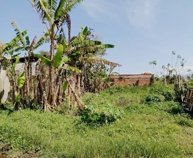 Terrenos à venda Cidade Nova Peruibe