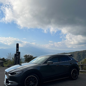 CX-30 DMEP