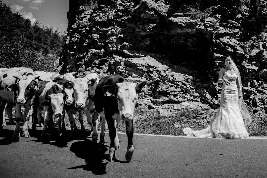 Düğün fotoğrafçısı Florin Belega (belega). 22 Mart 2019 fotoları