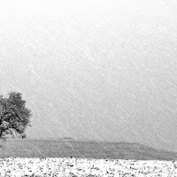 Solo nella tormenta... di 