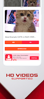 RedNote Video Downloader Screenshot