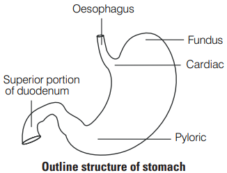 Solution Image