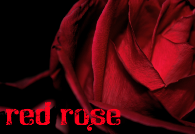 Red Rose Theme