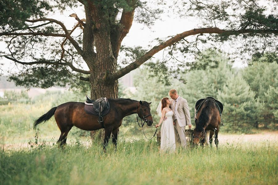 Wedding photographer Evgeniy Yurchenkov (yevgeniysoul). Photo of 19 July 2017