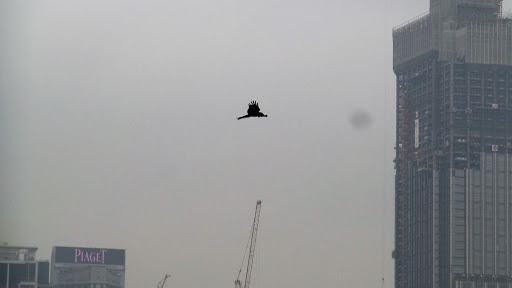 Journey on the Junk in Hong Kong China 2016