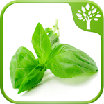 Home Remedies - Natural Cure Apk