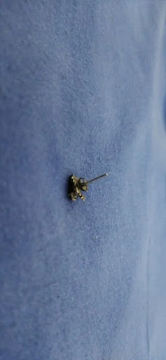 image - 2