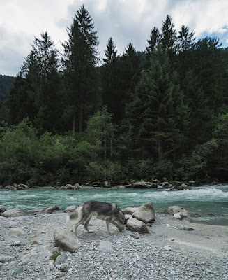 Nella natura con la migliore compagna d'avventure di nick_nonnis