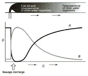 Water Pollution