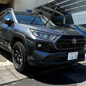 RAV4 MXAA54