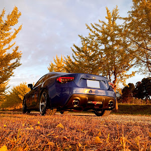 BRZ ZC6