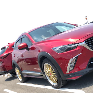 CX-3 DKEFW