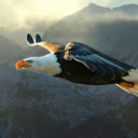 Eagle New Tab & Wallpapers Collection