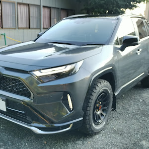 RAV4 AXAP54