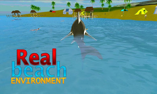 Crazy Shark Attack 3D