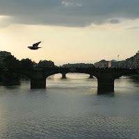 La vista dal ponte vecchio di 