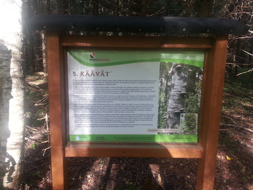 Käävät