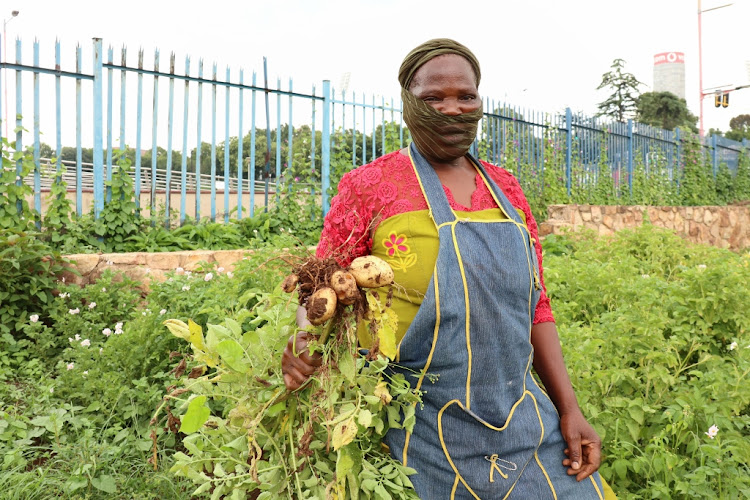 Ma Refiloe of the Bertrams Inner City Farm.