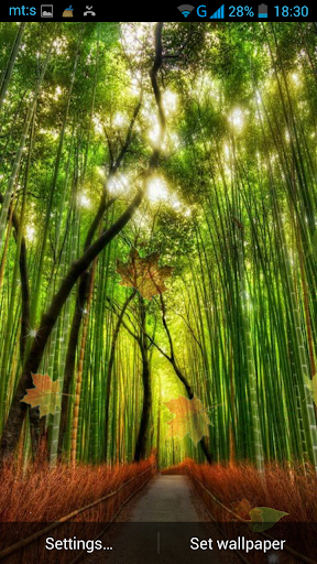 24 Wallpaper 3d Hutan  Bambu  Richi Wallpaper