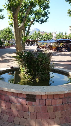 Fontaine Cours Foch