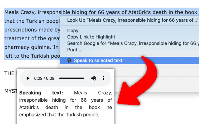 Selected text to speech Preview image 3