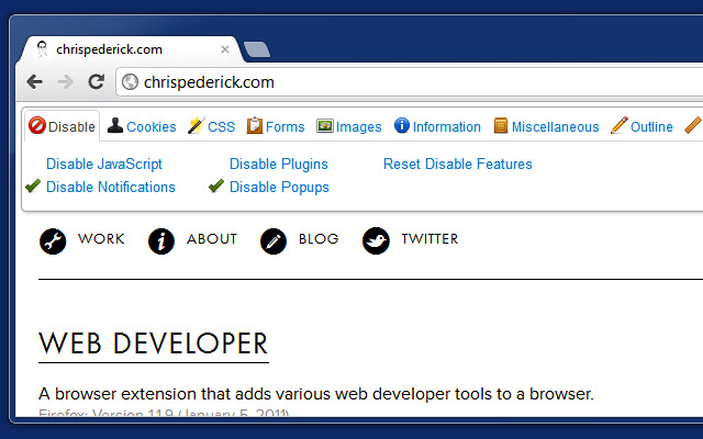 Web developer screenshot