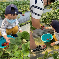 莓圃休閒農園 餐廳