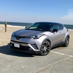 C-HR ZYX10