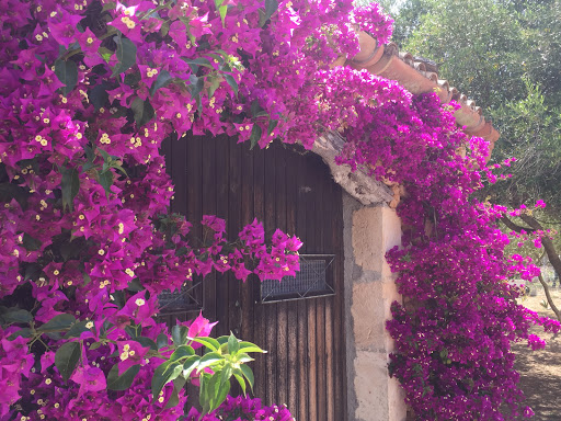 Finca vacacional en Mallorca